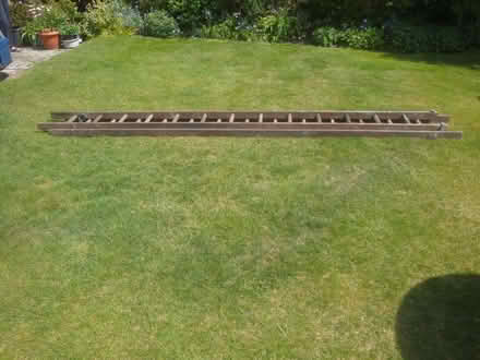 Photo of free Old Wooden Ladder (Penn Hill BH14) #1