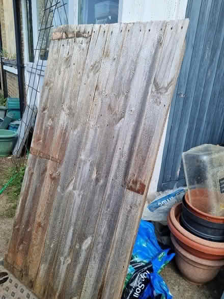 Photo of free Old ledge and brace garden gate. (New Hinksey OX1) #1