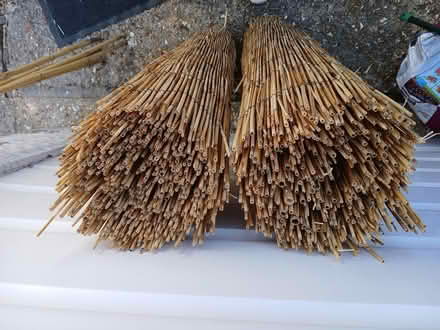 Photo of free Reed screening (Wallisdown BH12) #2