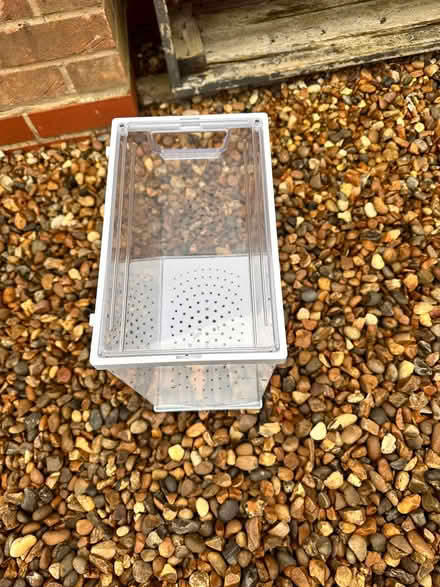 Photo of free 5 plastic storage boxes (Colchester CO4) #3