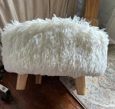 Photo of free Cat / Small dog elevated bed (Williamsburg) #2