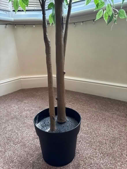 Photo of free Artificial House Plant (Catford South SE12) #4