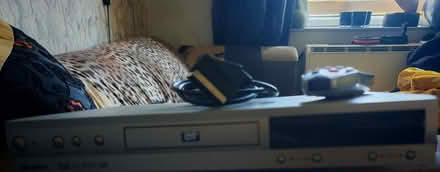 Photo of free Dvd player (East Ayton YO13) #1
