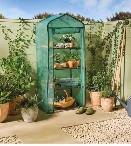 Photo of free Aldi plant greenhouse x2 (Hove BN3) #1