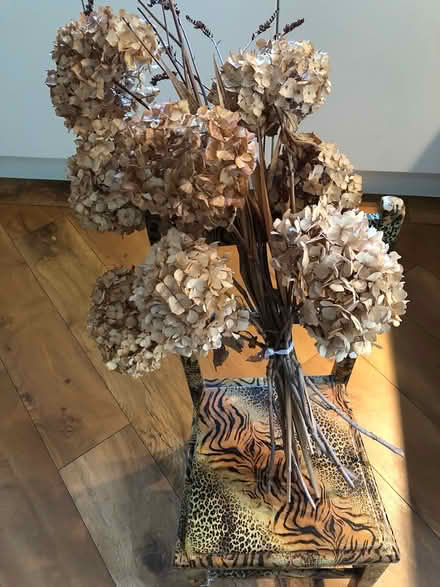 Photo of free Dried hydrangeas (Woburn Sands MK17) #1