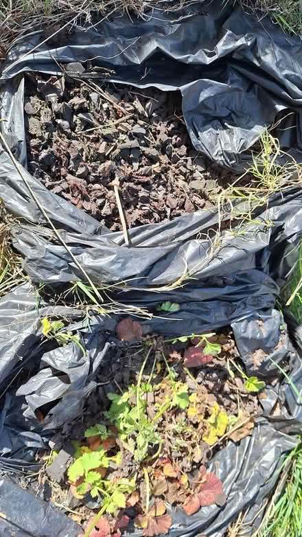 Photo of free Brown rubber mulch chippings (Chaddesden DE21) #4