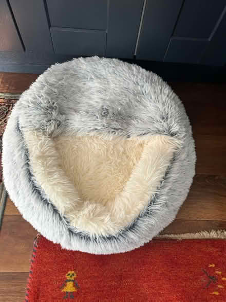 Photo of free 2 dog beds (Eynsham OX29) #2