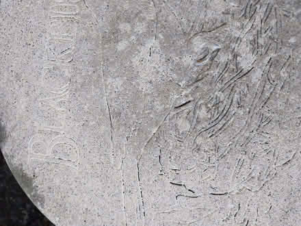 Photo of free Round Bird Patio Stone (Winshill DE15) #4