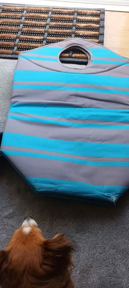 Photo of free Laundry bag blue (Waltham Abbey EN9) #1
