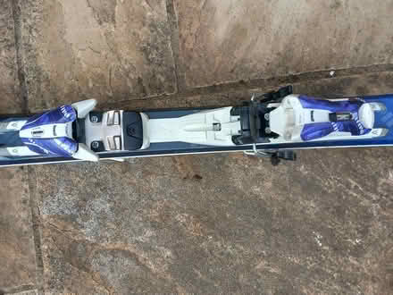 Photo of free skis (RG6 near Palmer Park) #3
