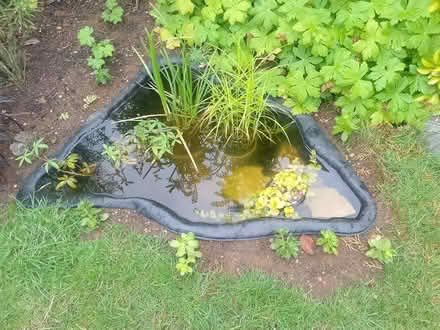 Photo of free Small pre-formed pond (Bicester OX26) #2