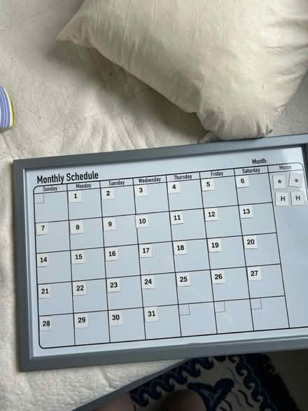 Photo of free Magnetic dry wipe calendar (LS12) #1