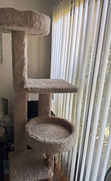 Photo of free Tall cat tree (Rengstorff & Middlefield Rd MV) #1
