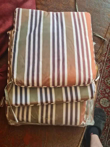 Photo of free Cushions for patio chairs. (Chatham ME5) #1