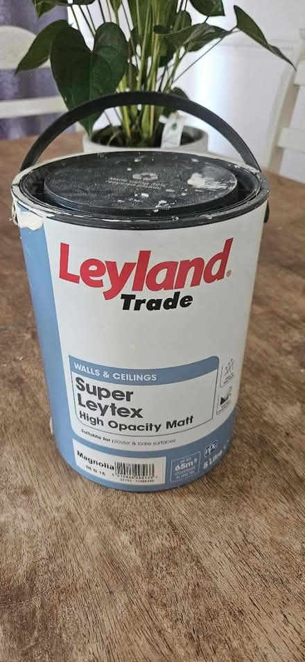 Photo of free Magnolia paint (Hampton TW12) #1