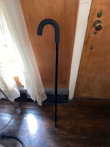 Photo of free Cane (Ridgefield, CT) #1