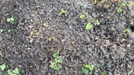 Photo of free Brown rubber mulch chippings (Chaddesden DE21) #3