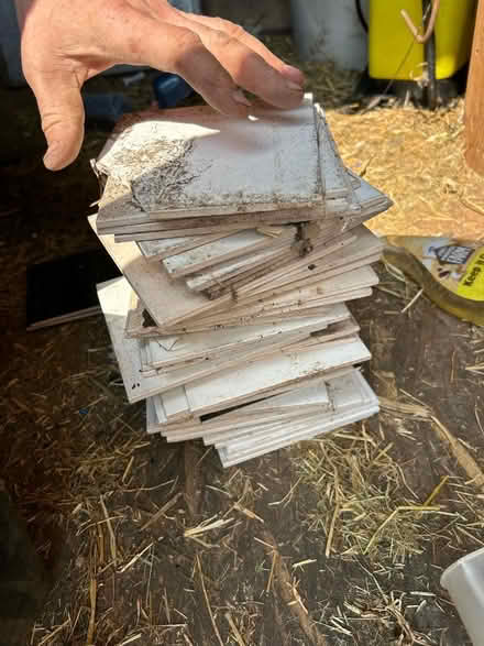 Photo of free Box of wall tiles (Grimston PE32) #2