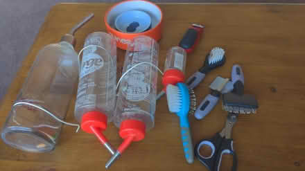 Photo of free Guinea pig accessories (Solihull B91) #1