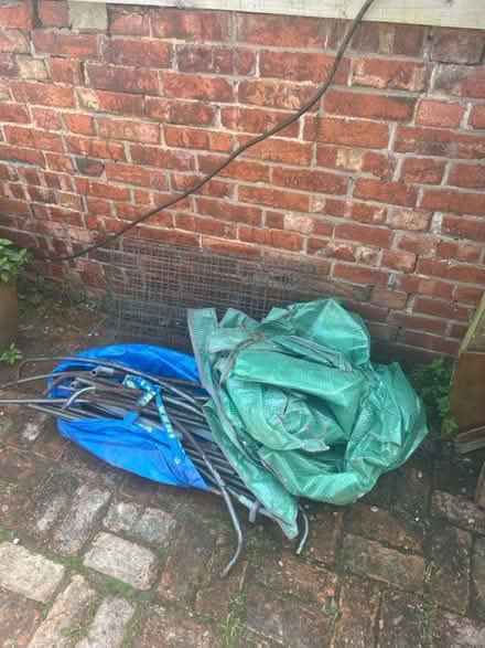 Photo of free Aldi plant greenhouse x2 (Hove BN3) #2