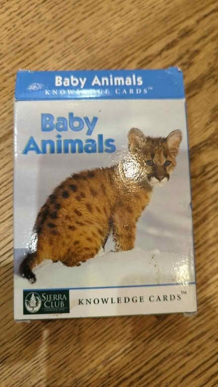 Photo of free Too sweet! Baby animal cards (norbiton KT2) #1