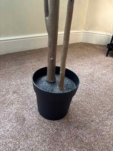 Photo of free Artificial House Plant (Catford South SE12) #2