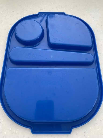 Photo of free Plastic food trays (Chesham Bois HP6) #2