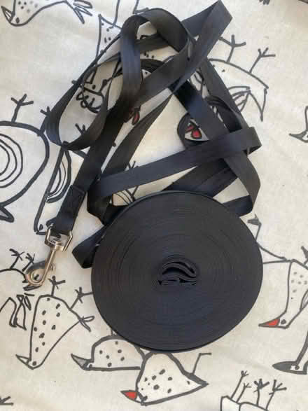 Photo of free Puppy training lead (Cardiff (Cardiff (Canton)) #1