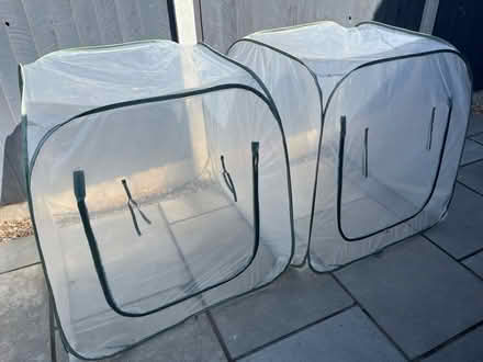 Photo of free Garden Gro Pop-up Cloche x 2 (Ashgate S40) #1