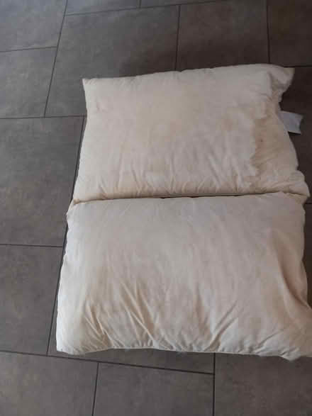 Photo of free 2 Feather/down Pillows (Leatherhead KT22) #1