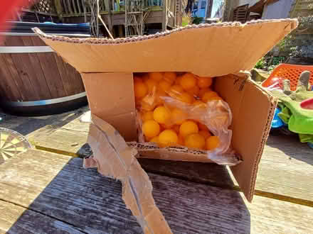 Photo of free Kids garden bits etc (Stafford ST17) #4