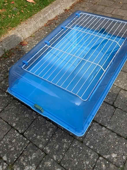 Photo of free Guinea pig/small rabbit cage (Bearsted) #2