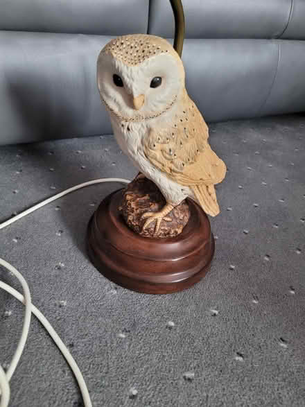Photo of free Owl table lamp (Fareham PO15) #3