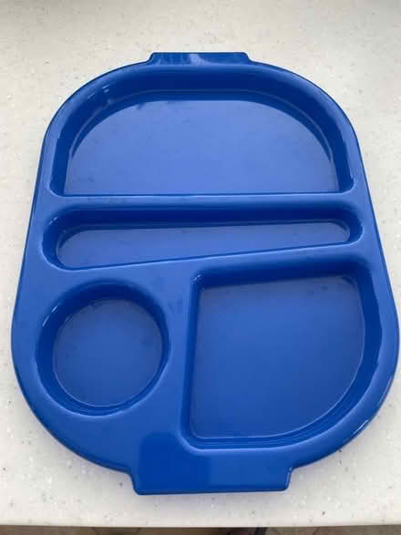 Photo of free Plastic food trays (Chesham Bois HP6) #1