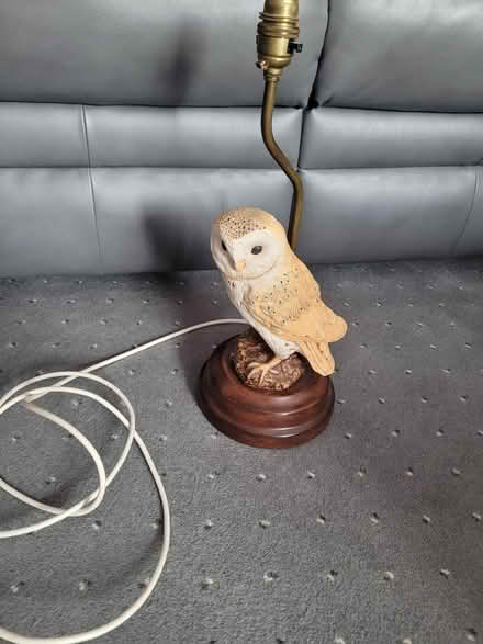 Photo of free Owl table lamp (Fareham PO15) #1