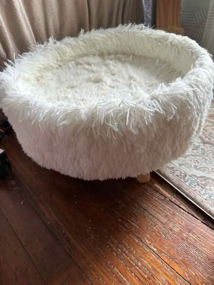 Photo of free Cat / Small dog elevated bed (Williamsburg) #1