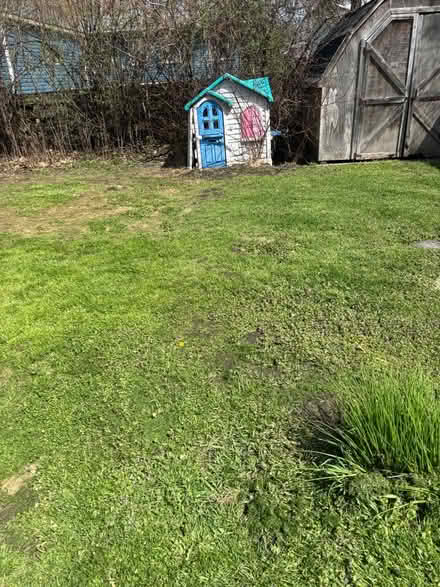 Photo of free Play house (Across from Walmart) #2