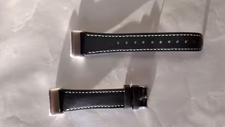 Photo of free Fitbit Charge 5 strap (NOT a Fitbit) (Northfield B31) #1