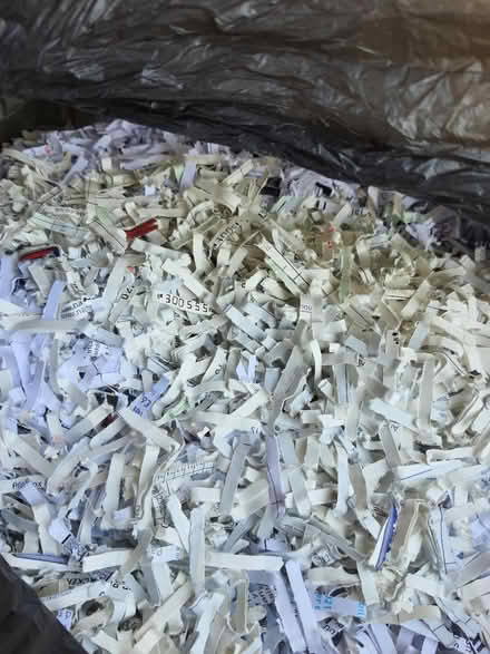 Photo of free Clean shredded paper (Stroud central) #1