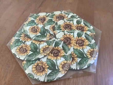 Photo of free Coasters (Fernhill GU17) #1