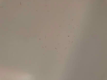 Photo of free bath (Hampton hill, TW12) #3