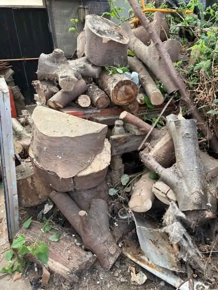 Photo of free Tree trunks (Restalrig EH7) #2