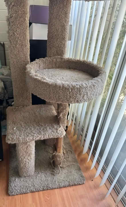 Photo of free Tall cat tree (Rengstorff & Middlefield Rd MV) #3