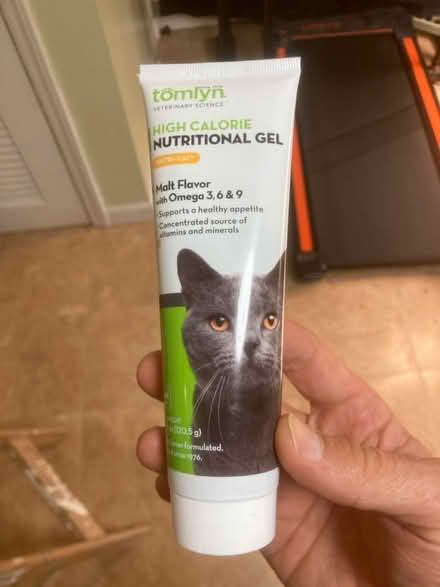 Photo of free Cat High calorie nutritional gel (Winchester Highlands) #1