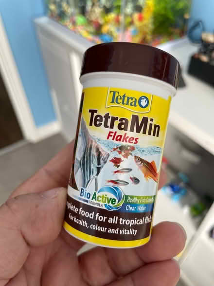 Photo of free Fish food (Stanmore, HA8) #1
