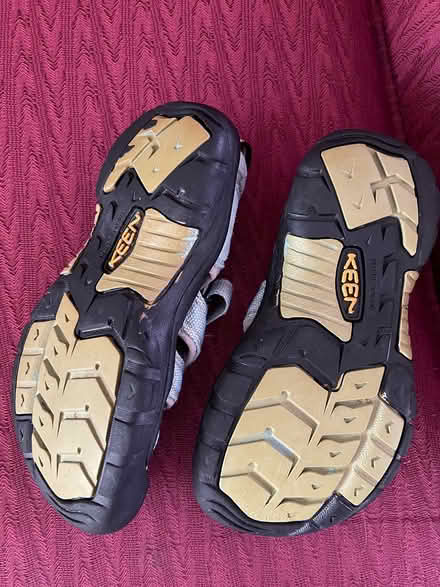 Photo of free Child’s water shoes (Kings Contrivance, Columbia) #3