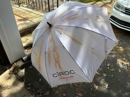 Photo of free Umbrella (parsippany) #1