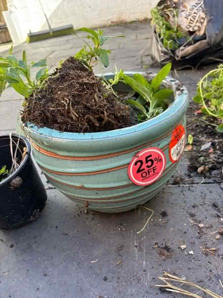 Photo of free 5 BLUE/ TURQUOISE PLANT POTS - various sizes (Cheltenham GL52) #1