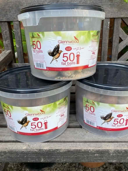 Photo of free Bird Fat Balls (Brightwell cum Sotwell) #1
