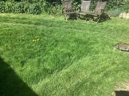 Photo of free 3 wooden garden chairs (Sunset HR5) #1